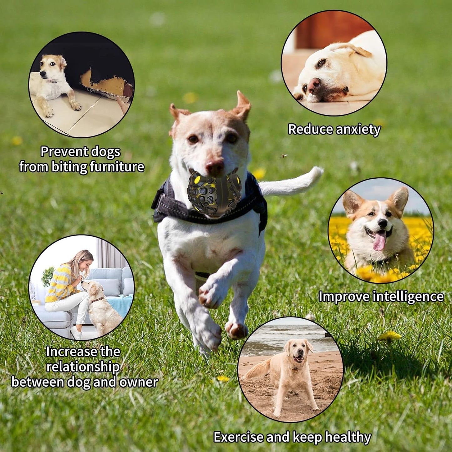 FYA Dog Ball Toys for Aggressive Chewers, Interactive Fetch Dog Ball with Fun Squeaky Giggle Sound, Non-Toxic Elastic Rubber Pet Chew Toys, Dog Gift for Medium/Big Dogs (Black-Yellow)