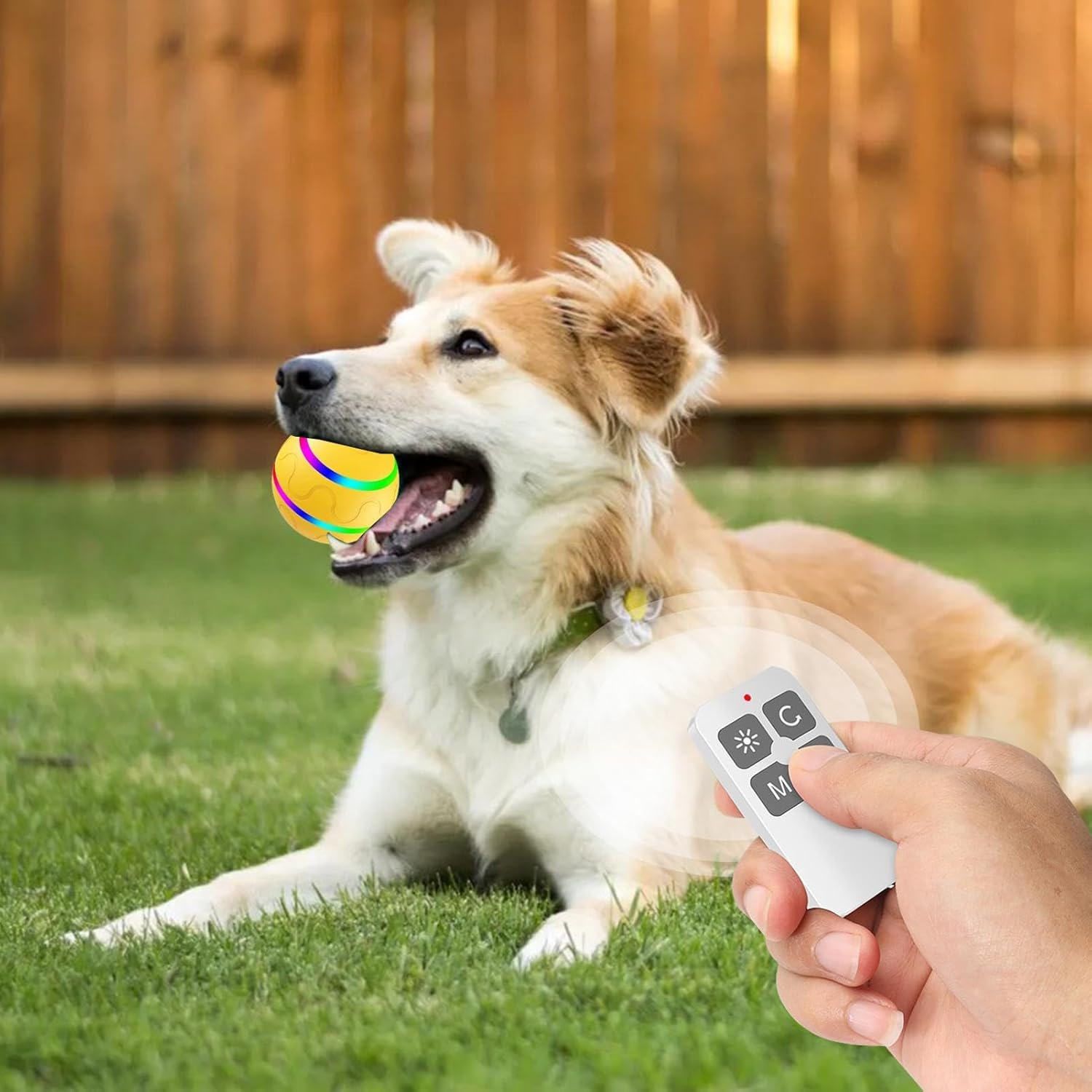 Interactive Dog Ball | IP54 LED Remote Control Toy Waterproof LED Pet Toy Smart Puppy Toy with 3 Modes for Indoor and Outdoor Interactive Ball Toy with ev Sensor